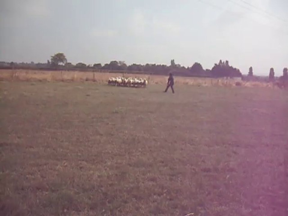 Jim 28-08-13  01