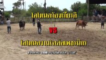 2556080901 สนามระโนด 