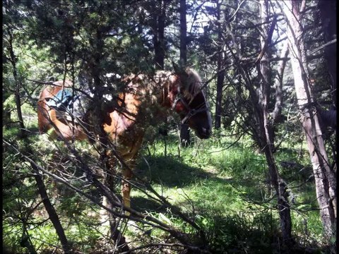 Rando 17 et 18 août ♥