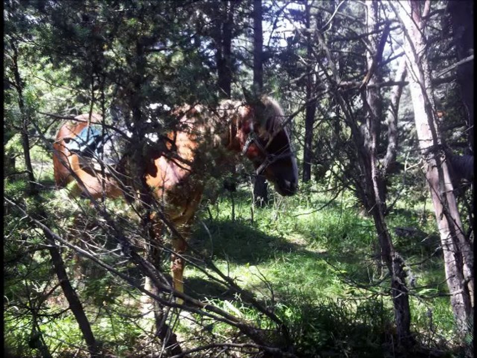 Rando 17 et 18 août ♥