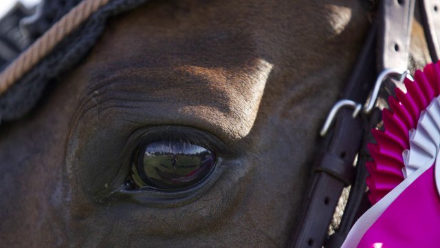 Grand Parquet - La Grande Semaine de Fontainebleau - 2015