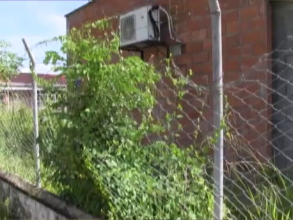 que pasa en nuestros barrios 27 de agosto de 2013_1