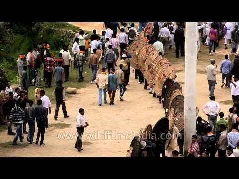 Bagwal celebration begins at Devidhura