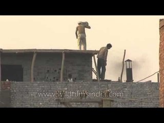 Delhi pollution comes from fly-ash emissions, factory smoke and more