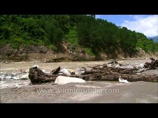 Massive devastation in Vijay Nagar