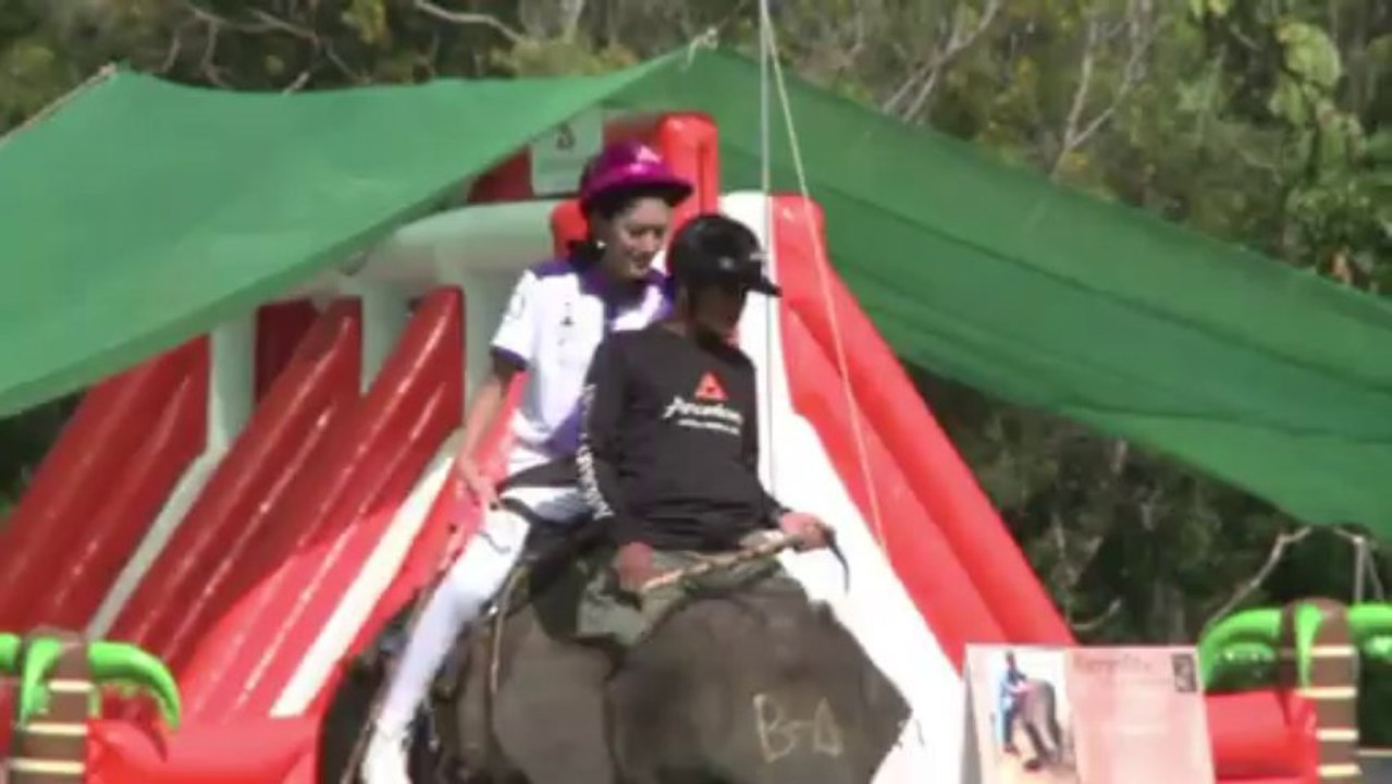 Tournoi annuel de polo à dos d'éléphants en Tha...