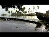 Heave Ho! Push the snake! - In Kerala backwaters