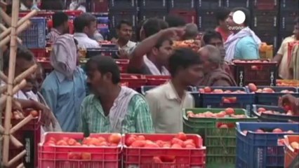 Indian rupee tumbles further