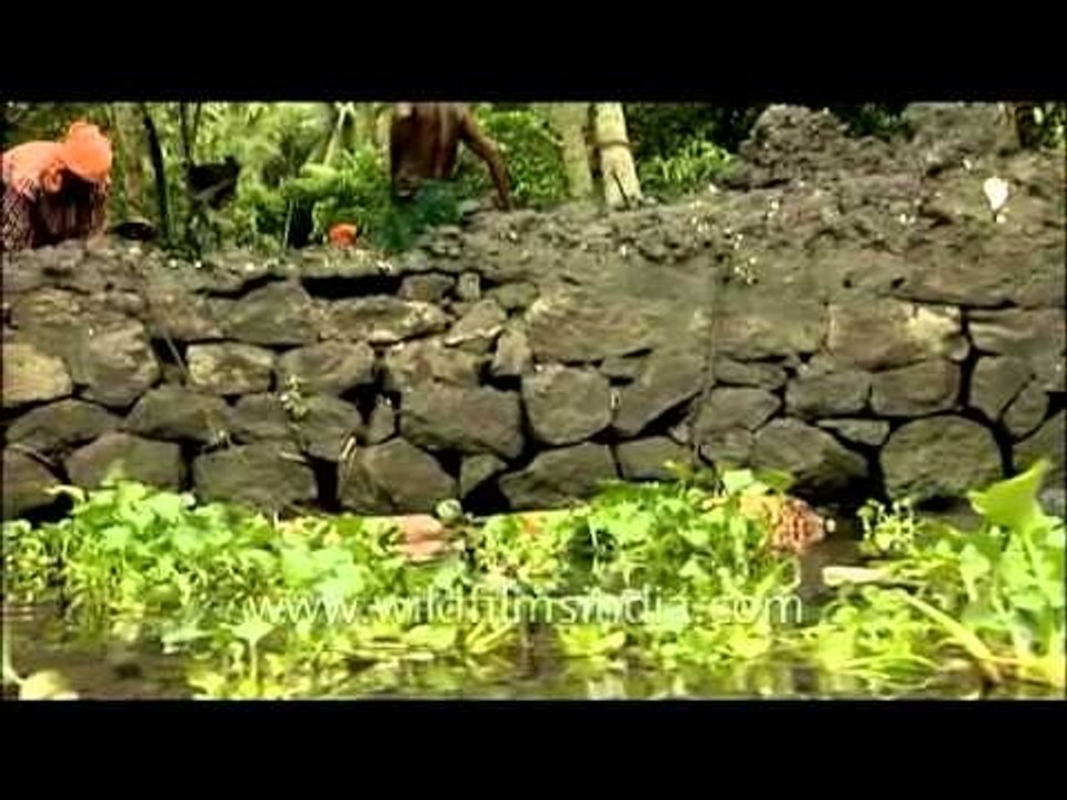 Backwaters of Kerala: On the houseboat