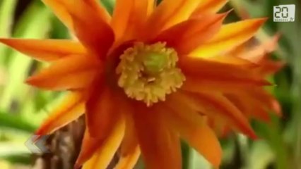 La rentrée 2013 / 2014 du Rewind !