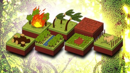 Los bosques amenazados