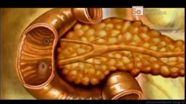 MEDICINA - AS 100 MAIORES DESCOBERTAS DA HISTÓRIA