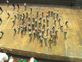 Final de Léo (Insensato Coração)