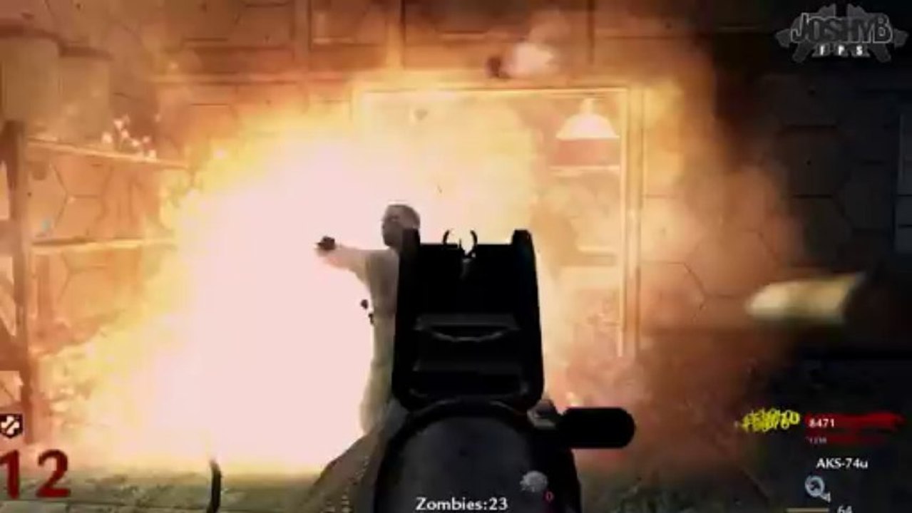 Call of Duty Zombies - Der Riese TMG Gun Mod