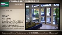 A louer - Activités - PACE (35740) - 845m²