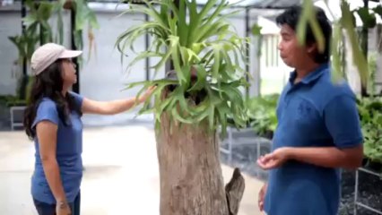 เมืองไทย สวรรค์ชาวเกย์ ?