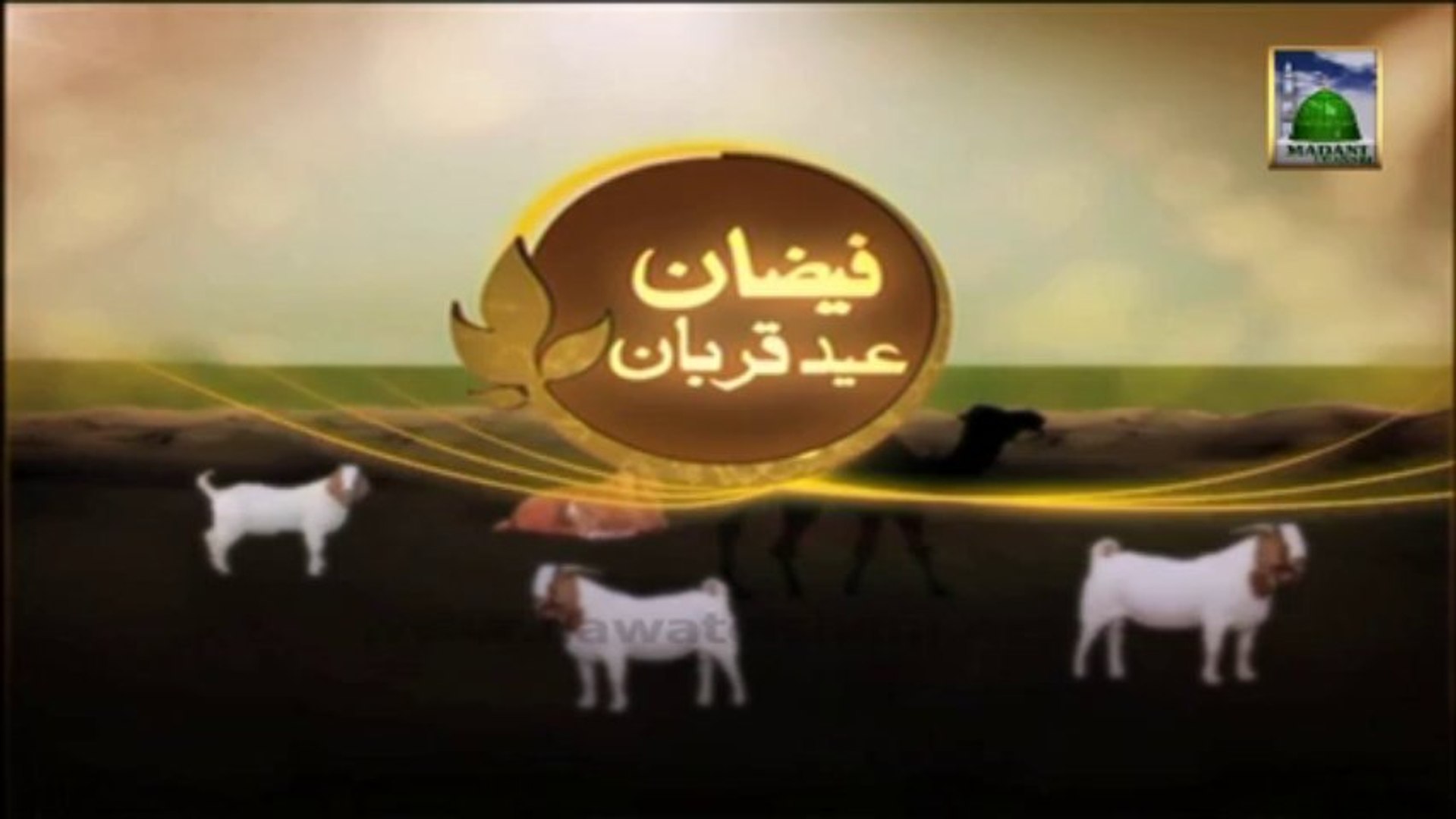 Faizan e Eid ul Adha 03 - Animated Video - video Dailymotion
