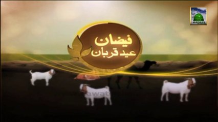 Faizan e Eid ul Adha 03 - Animated Video