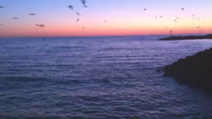 Trenargentado California Redondo beach