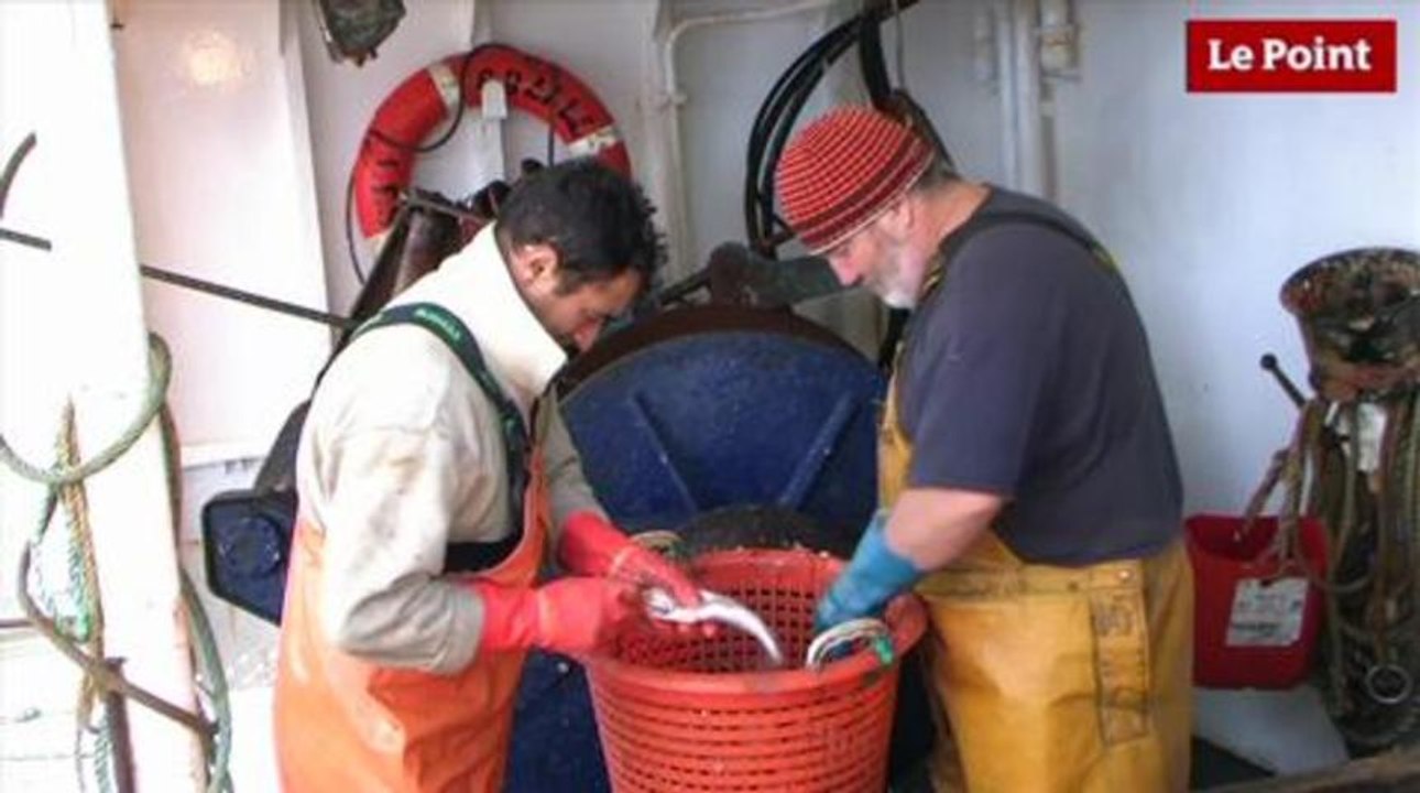 Une semaine en haute mer (19 tonnes à la cale)
