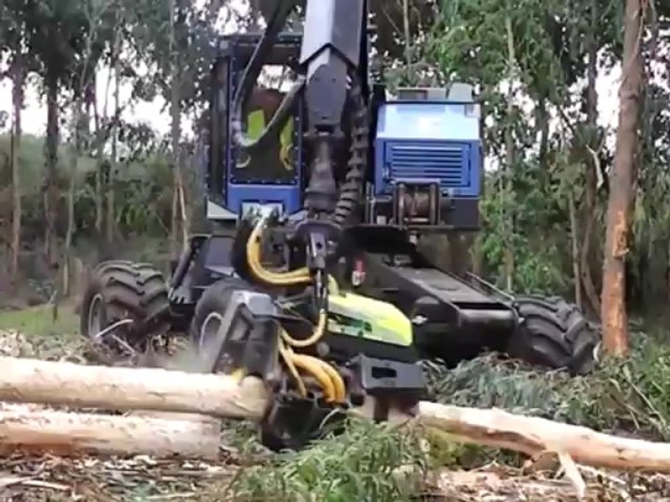 AFM 60 Euca -TimberPro