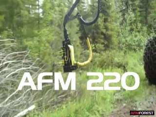 AFM 220
