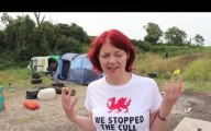 Badger cull protest sets up camp in Watchet, Somerset  This is Devon 28Aug13