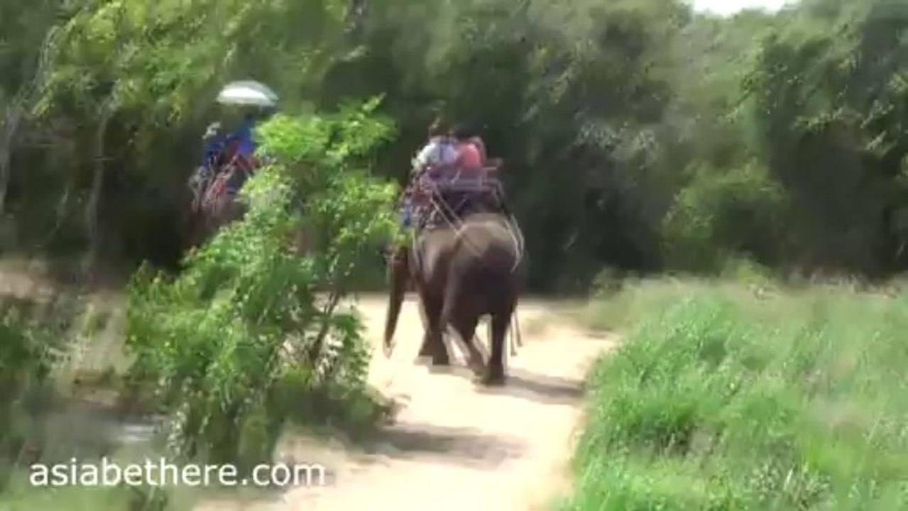 Hua Hin Safari Elephant Trekking I