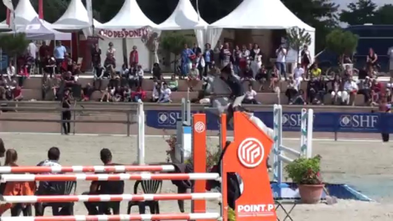 Sir Leam des Dauges - Championnat des 7 ans 2eme jour