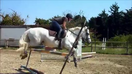 seance 29 aout 2013 partie 3