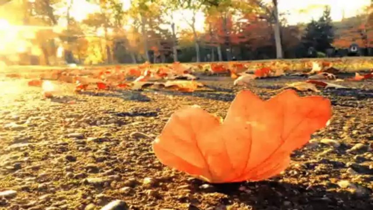 Ben seni uzaklarda sevdim