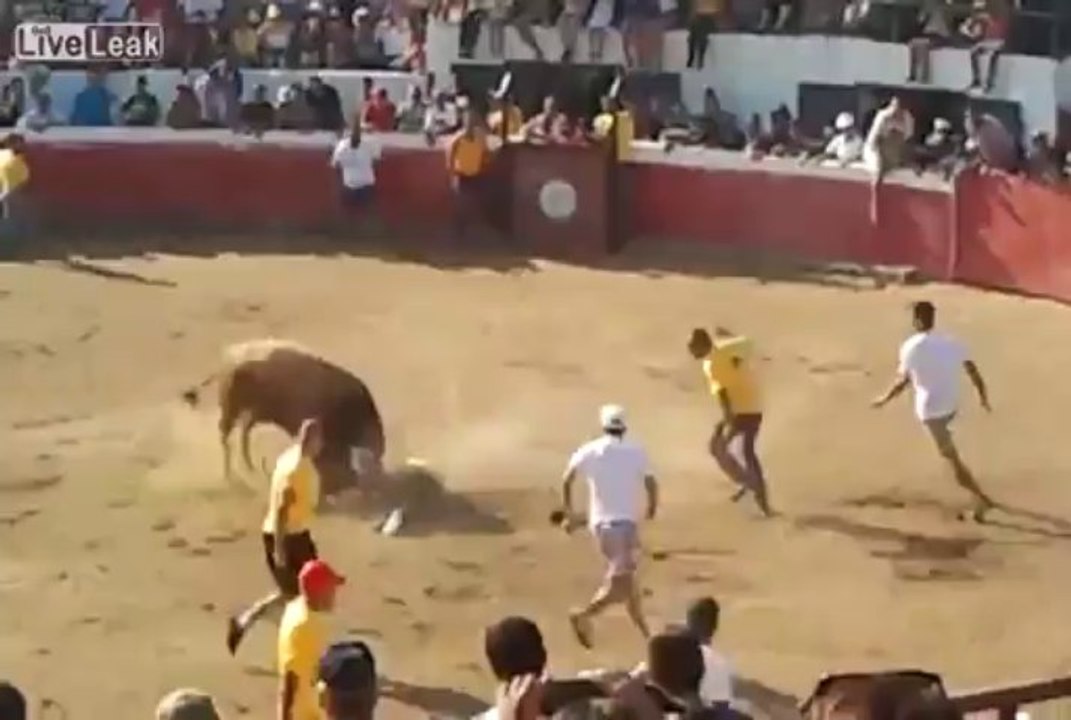 Ha vinto il toro