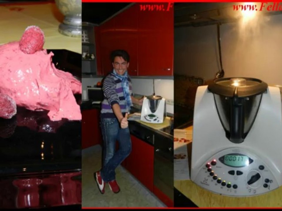 Thermomix TM 31 Mr Thermomen Matthias Fruchteis Erlebniskochen