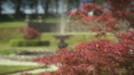 Watch Molesworth Manor's Video Guide on Padstow, Cornwall, UK