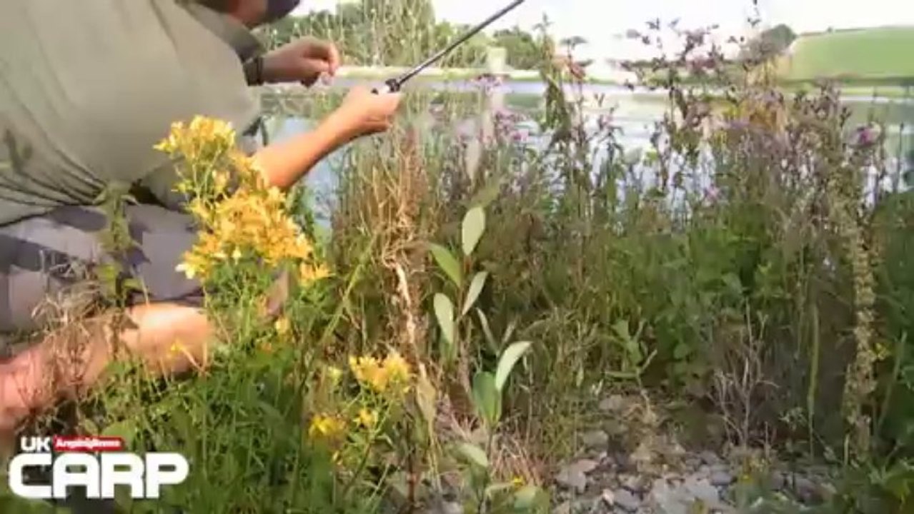 UK Carp Magazine - Catching carp in the margins