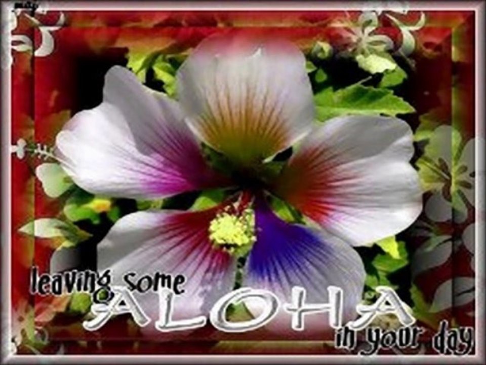 ALOHA MEANING