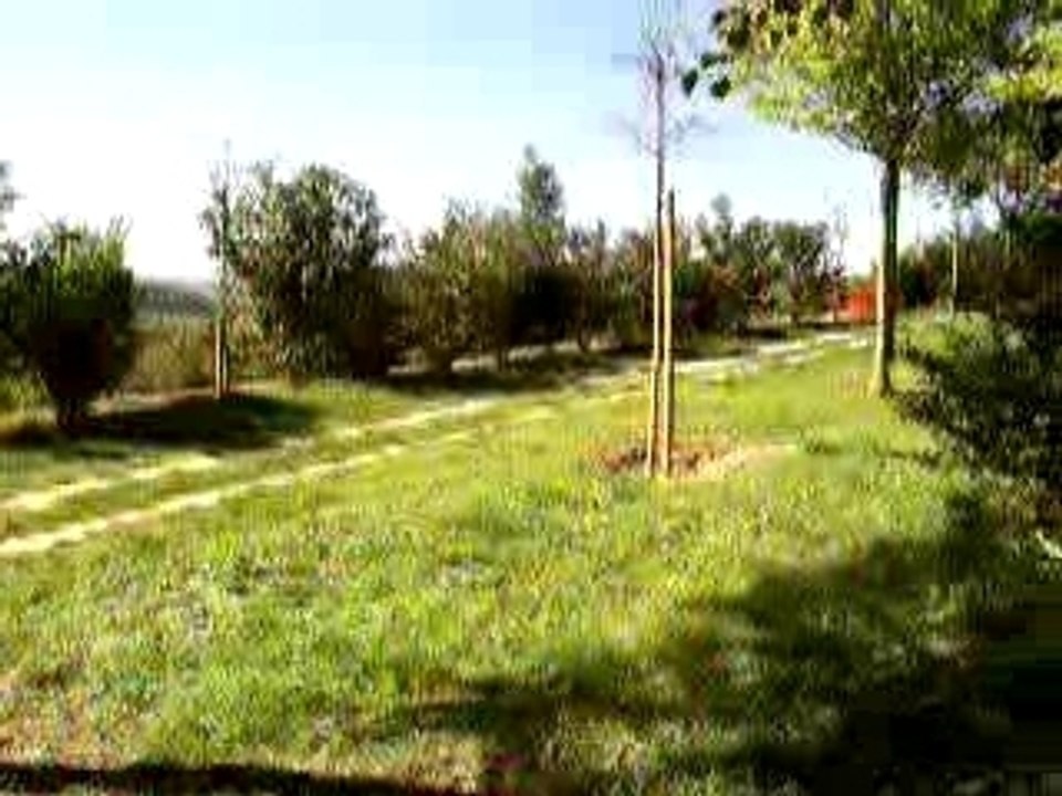 chemin des abeilles
