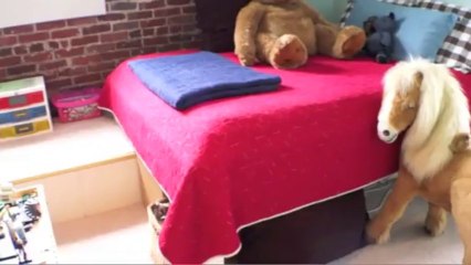 110 Barberry Rd., Johnson City, TN