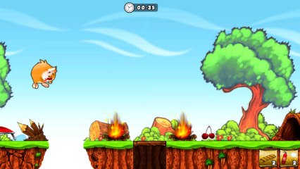 CGR Undertow - CRAZY HAMSTER review for Nintendo DSi