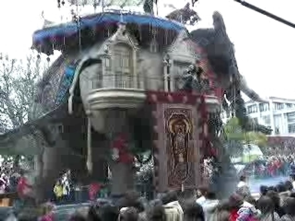 La marche de l'éléphant