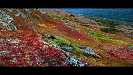 Springtime in ALASKA (PP-720p)