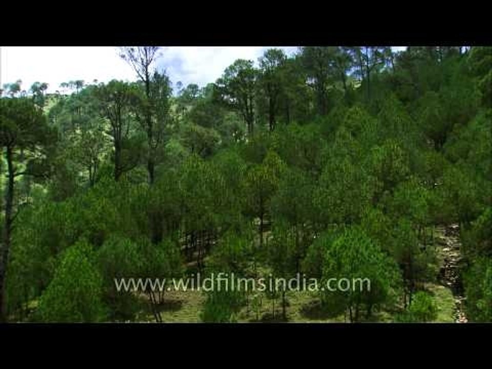 Greenery awaits enroute Agastyamuni: Post Uttarakhand Floods
