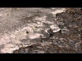 Water below ice- Only at 11,000 feet up the Himalayas