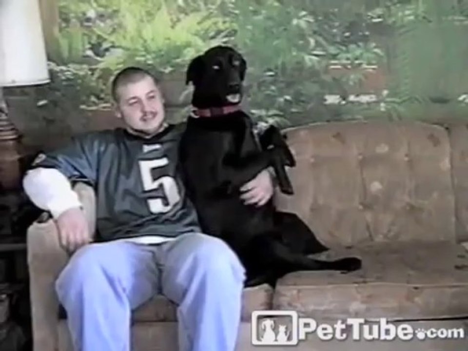 The MOST Loving Lab