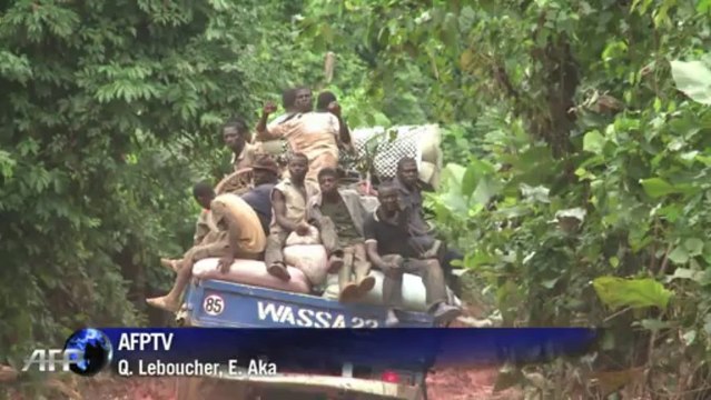 Cacao, bosques y desplazados