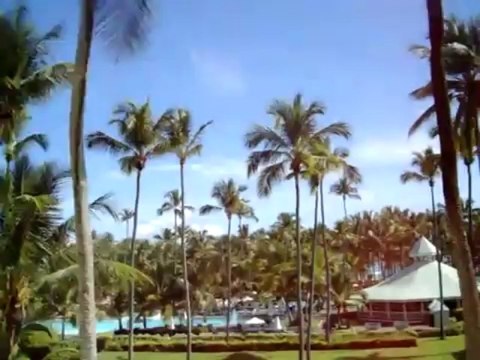 riu palace macao Dom. Rep. Punta Cana 5 Sterne Riu Hotel Reisebuero Fella