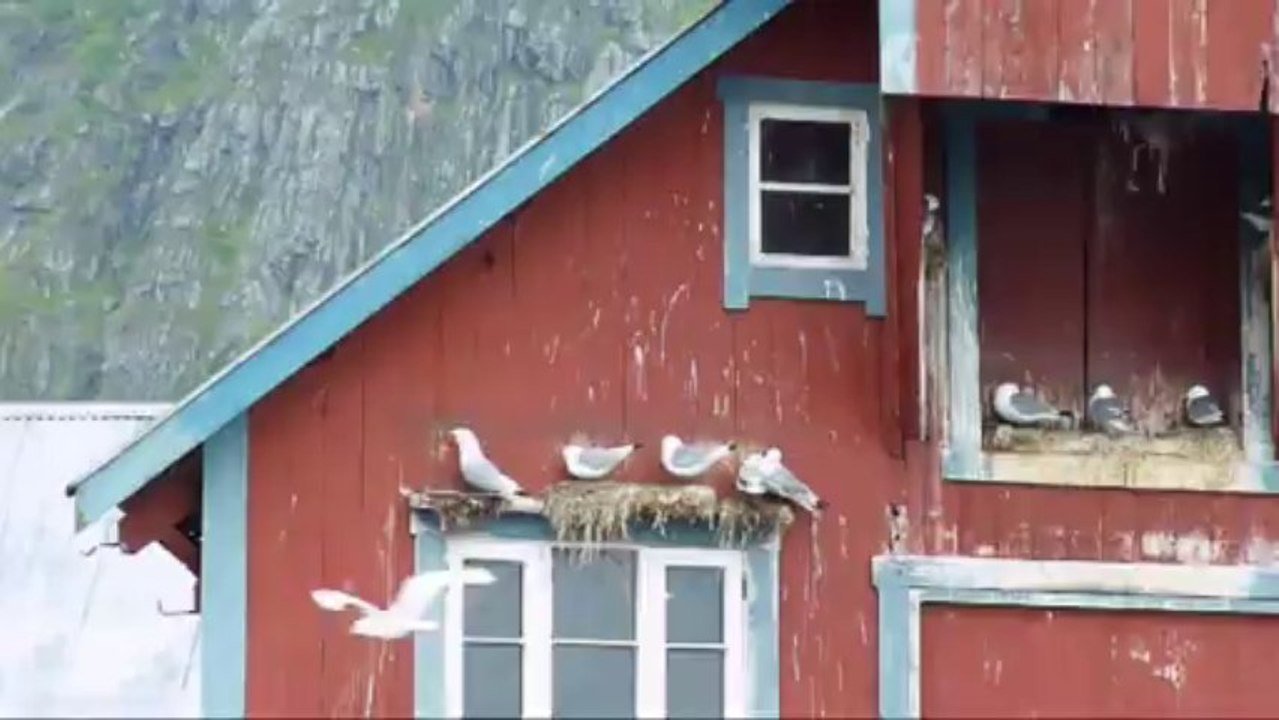 Lofoten_A_20130804