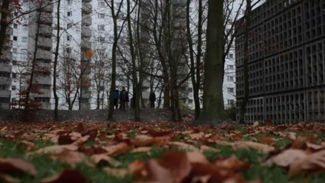 Schildkröten Projekt / Projekt in Entwicklung