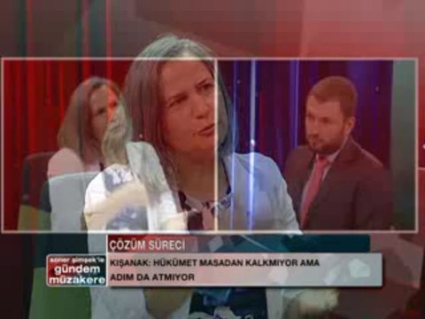 GÜNDEM .MUZAKERE- PART 2 (29 AĞUSTOS-GULTAN KIŞANAK) 2013.08.29 imc-tv.com