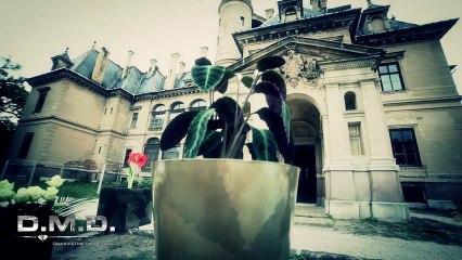 D.M.D. Luxury - Diamond Metal Design